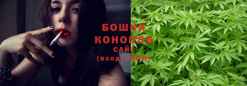 МАРИХУАНА SATIVA & INDICA  где купить   Куровское 